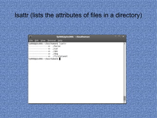 lsattr (lists the attributes of files in a directory) 