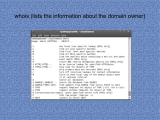 whois (lists the information about the domain owner) 
