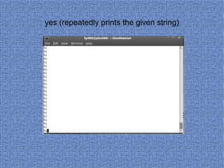yes (repeatedly prints the given string) 