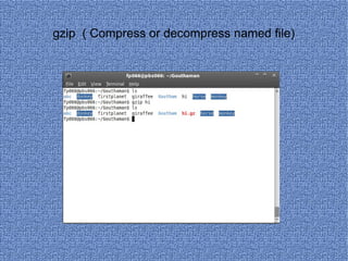 gzip  ( Compress or decompress named file)‏ 
