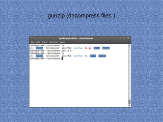 gunzip (decompress files ) 