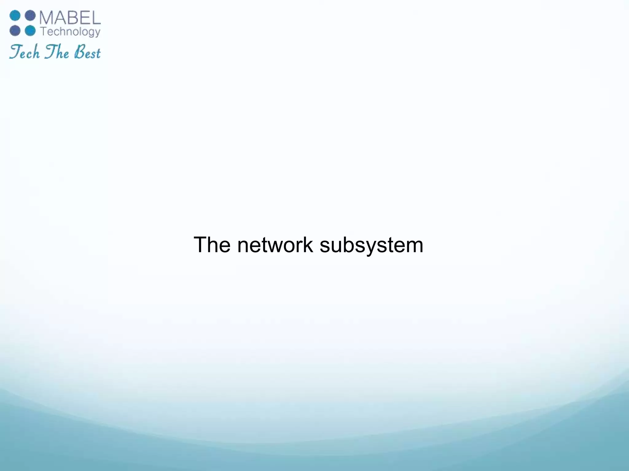 The network subsystem
 
