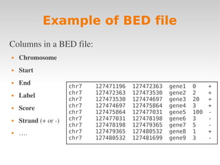 Linux intro 4 awk + makefile | PDF