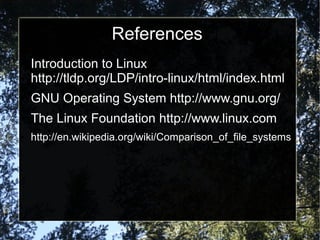 Linux introduction (eng) | PDF