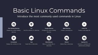 Linux Introduction.pptx | Operating Systems | Computer Software and ...