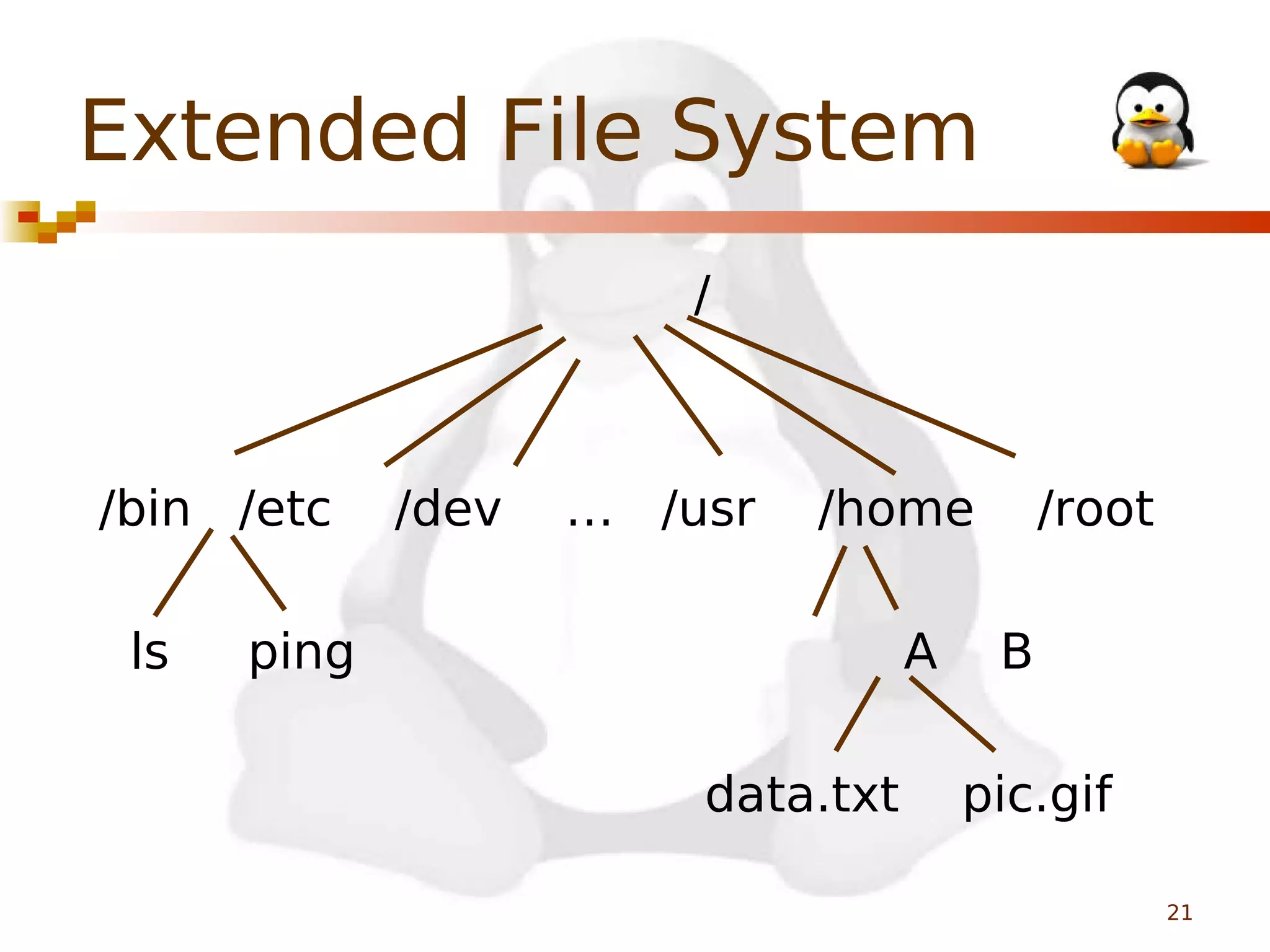 Extended File System
/

/bin /etc
ls

/dev

… /usr

/home

ping

A
data.txt

/root
B

pic.gif
21

 