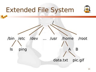 Extended File System
/

/bin /etc
ls

/dev

… /usr

/home

ping

A
data.txt

/root
B

pic.gif
21

 