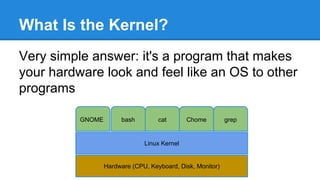 Linux kernel modules | PDF