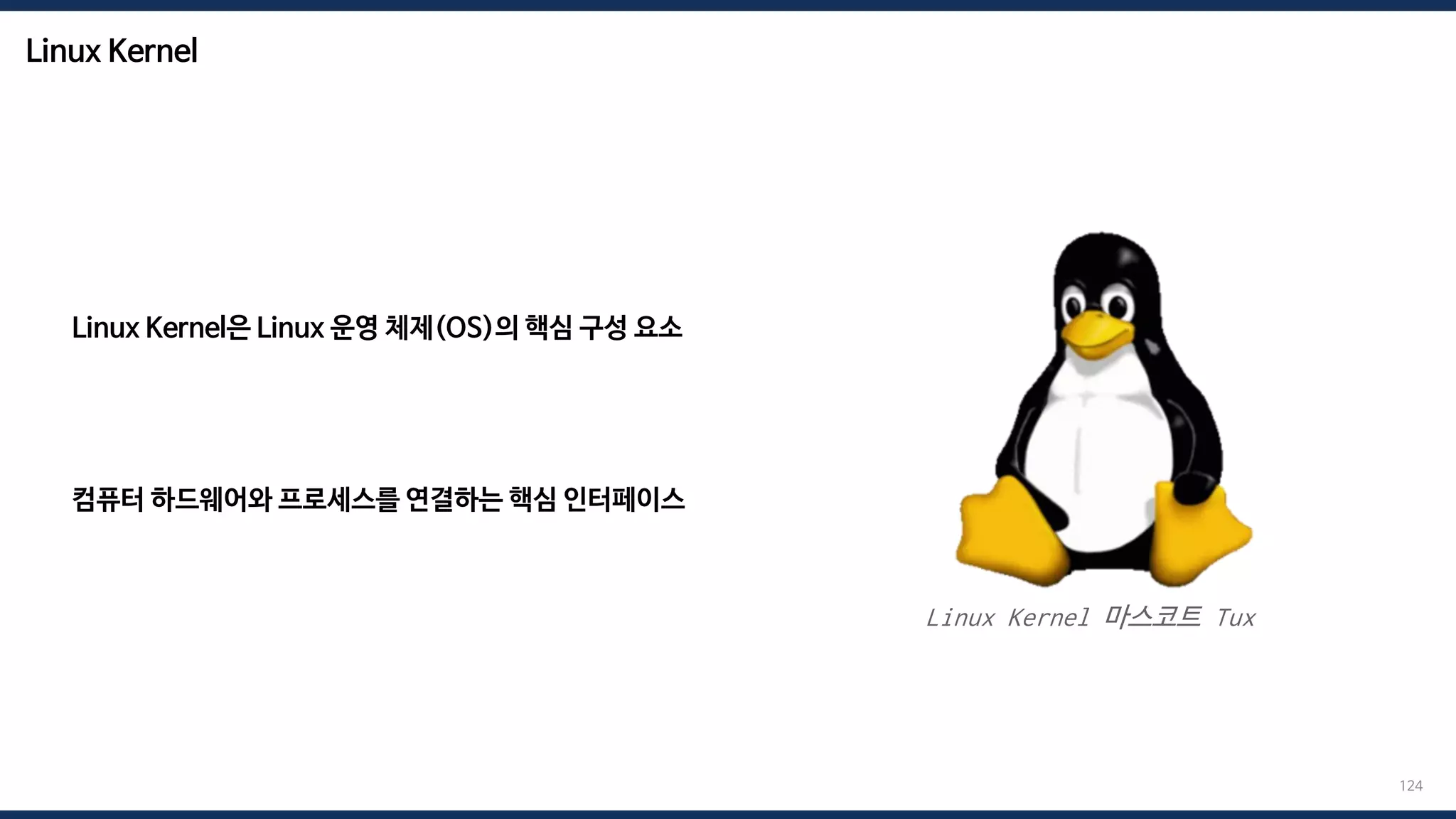 Linux Kernel
124
Linux Kernel은 Linux 운영 체제(OS)의 핵심 구성 요소
컴퓨터 하드웨어와 프로세스를 연결하는 핵심 인터페이스
Linux Kernel 마스코트 Tux
 