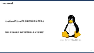 Linux Kernel
124
Linux Kernel은 Linux 운영 체제(OS)의 핵심 구성 요소
컴퓨터 하드웨어와 프로세스를 연결하는 핵심 인터페이스
Linux Kernel 마스코트 Tux
 