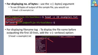 Basic Linux Commands | PDF