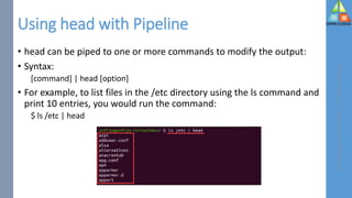 Head File Basic Linux Commands | PDF