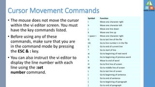 Filters & Vi Editor | PDF