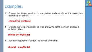 File Access Permission | PDF