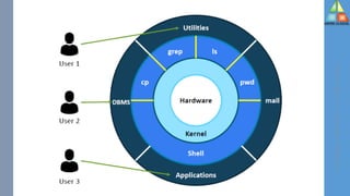Types of Linux Shells | PDF