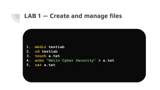 Linux / macOS Terminal and Commands —a command-line interface (CLI) | PDF