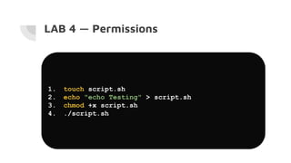 Linux / macOS Terminal and Commands —a command-line interface (CLI) | PDF