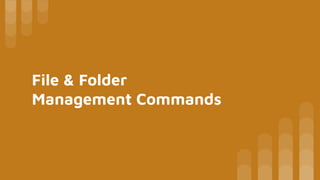 Linux / macOS Terminal and Commands —a command-line interface (CLI) | PDF