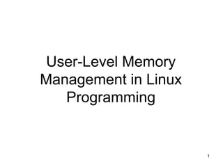 User-Level Memory Management in Linux Programming 