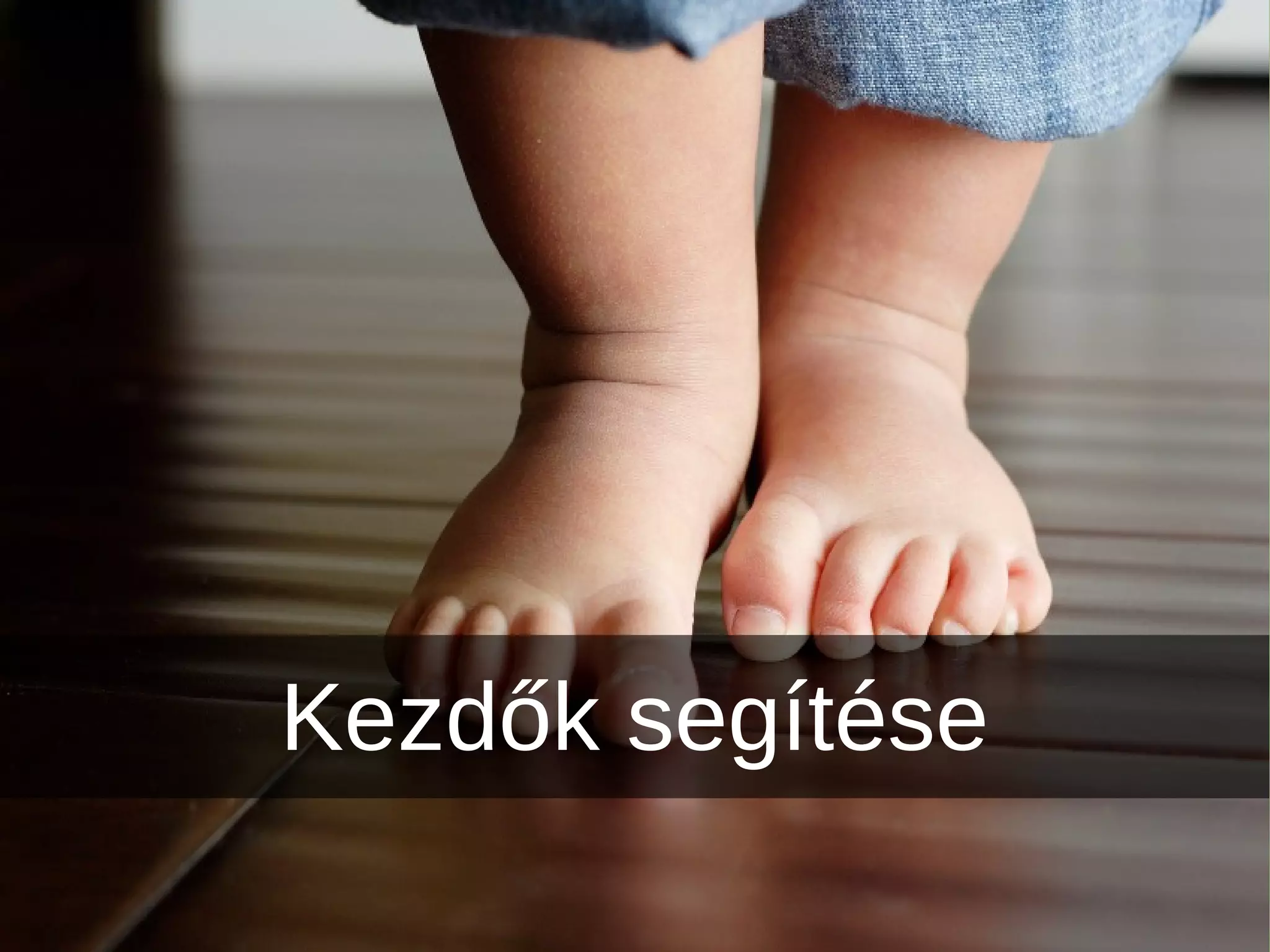 Kezdők segítése
 
