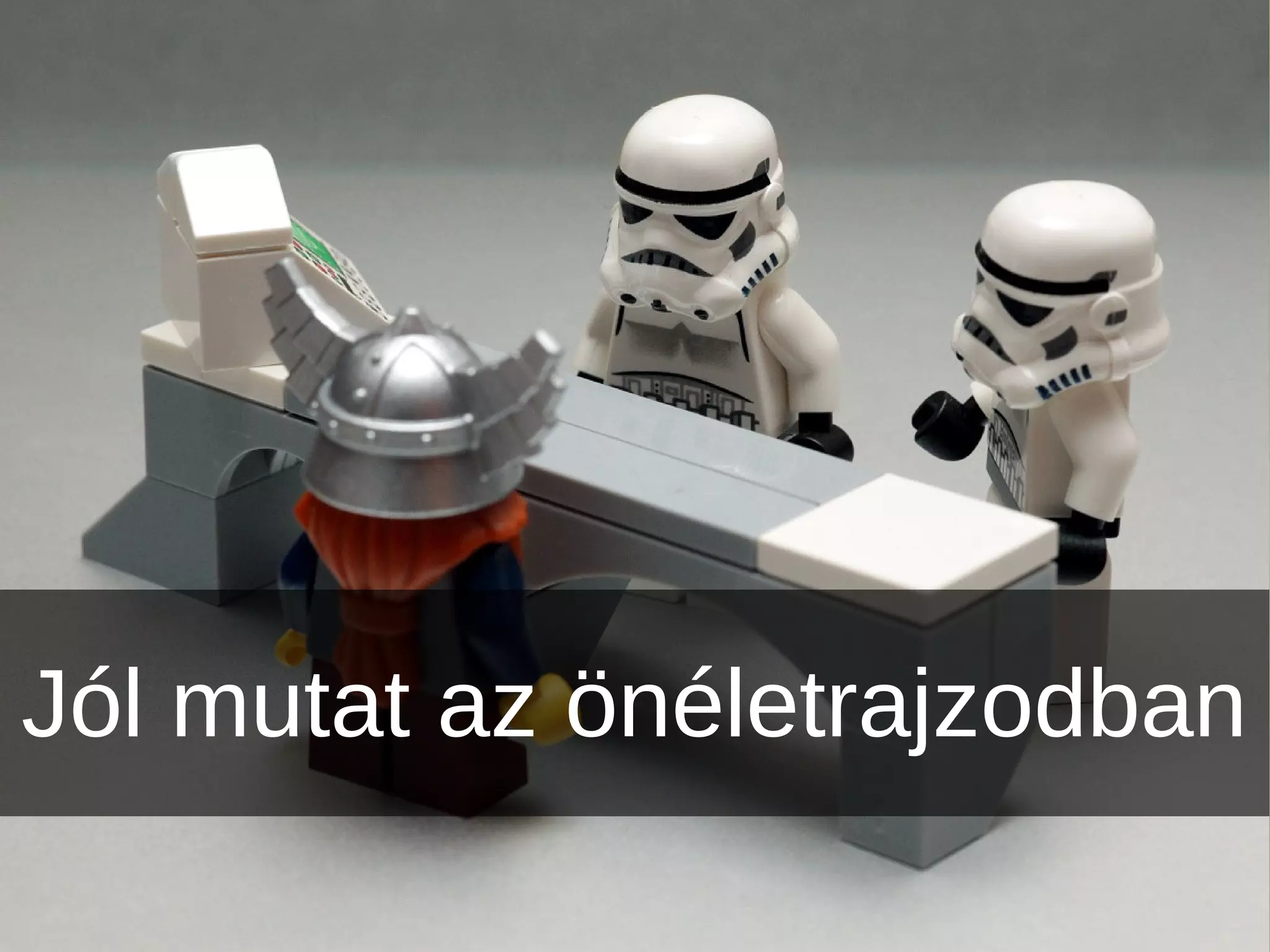 Jól mutat az önéletrajzodban
 