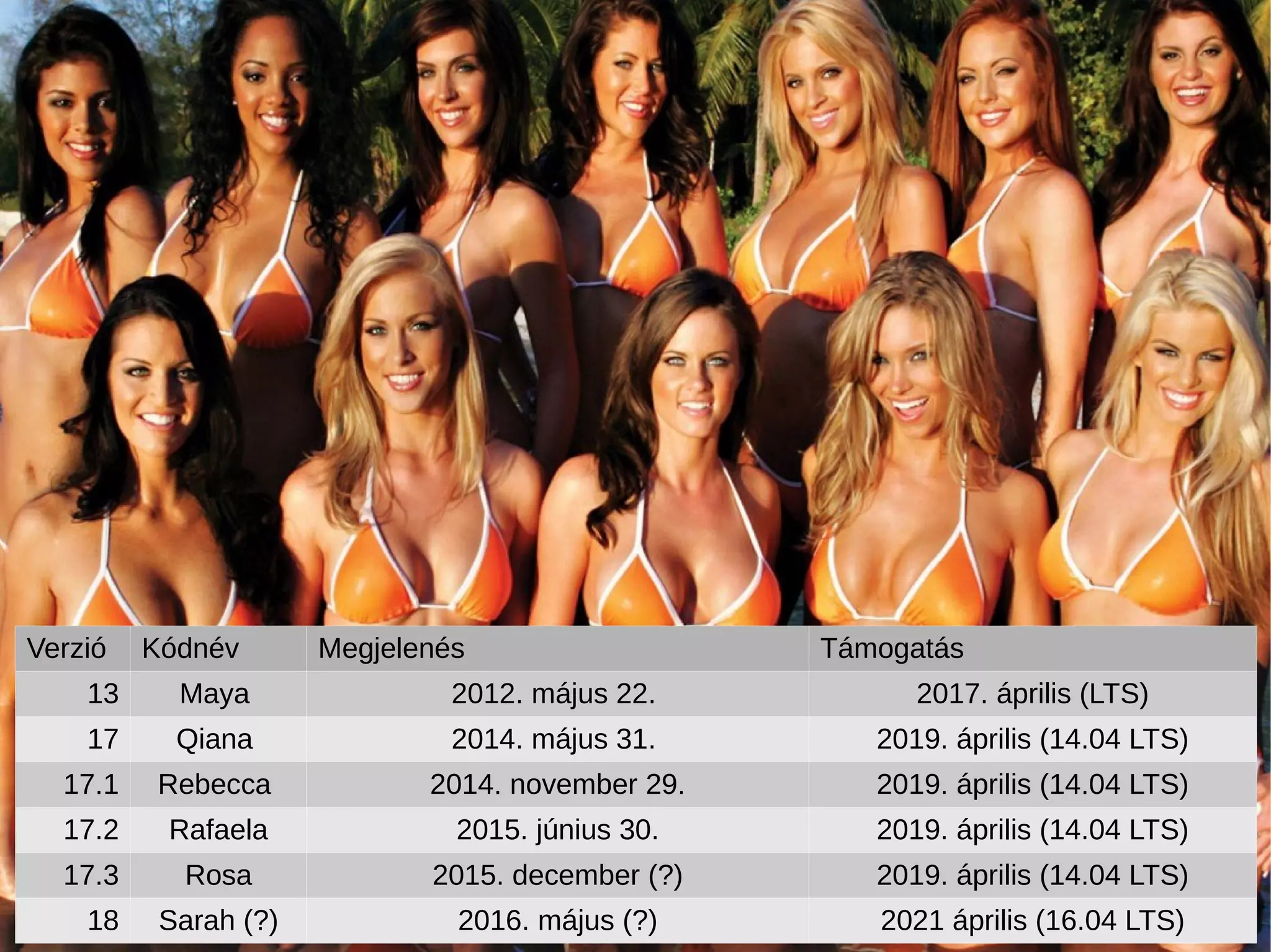 Verzió Kódnév Megjelenés Támogatás
13 Maya 2012. május 22. 2017. április (LTS)
17 Qiana 2014. május 31. 2019. április (14.04 LTS)
17.1 Rebecca 2014. november 29. 2019. április (14.04 LTS)
17.2 Rafaela 2015. június 30. 2019. április (14.04 LTS)
17.3 Rosa 2015. december (?) 2019. április (14.04 LTS)
18 Sarah (?) 2016. május (?) 2021 április (16.04 LTS)
 