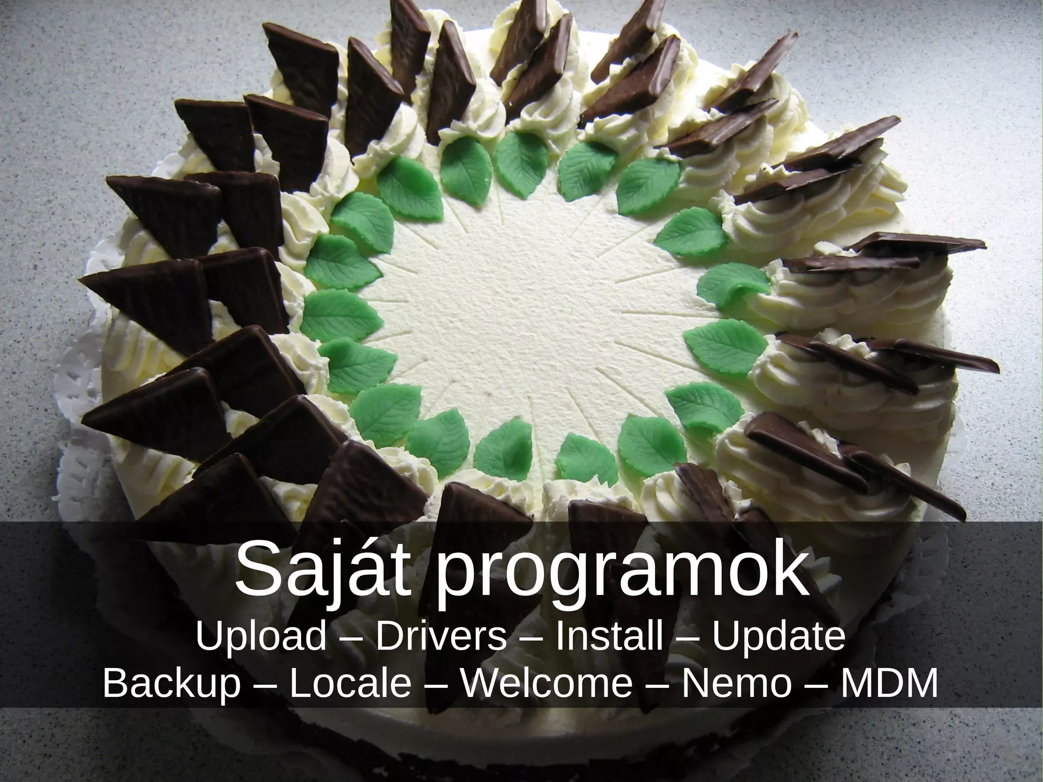 Saját programok
Upload – Drivers – Install – Update
Backup – Locale – Welcome – Nemo – MDM
 