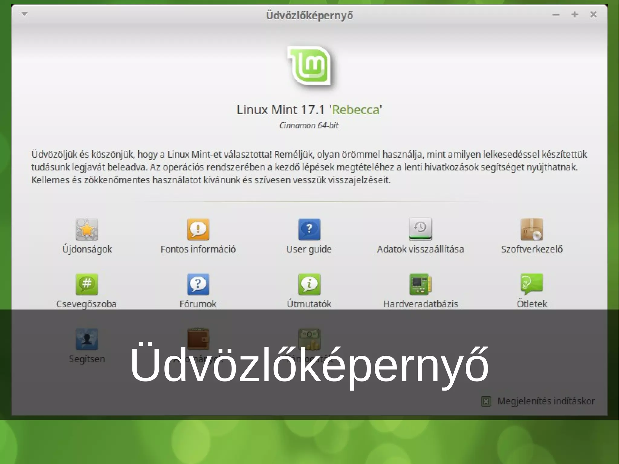 Üdvözlőképernyő
 