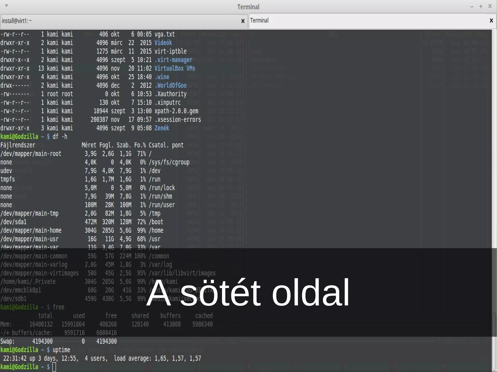 A sötét oldal
 