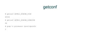 getconf 
# getconf LEVEL1_DCACHE_SIZE 
65536 
# getconf LEVEL1_DCACHE_LINESIZE 
64 
# grep -c processor /proc/cpuinfo 
2 
 