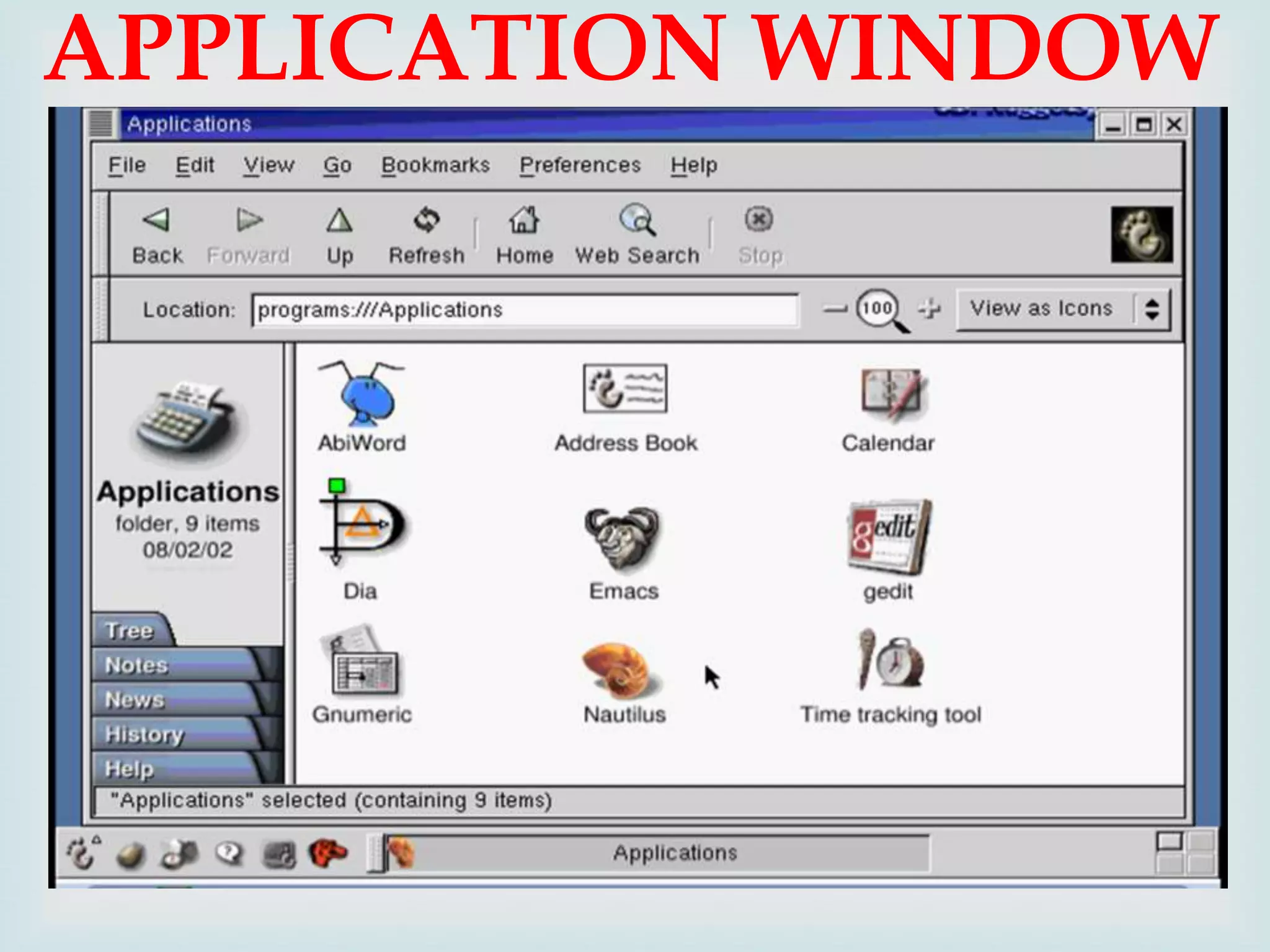 APPLICATION WINDOW


 