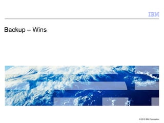 Backup – Wins




                © 2010 IBM Corporation
 