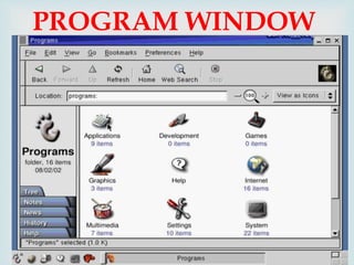 
PROGRAM WINDOW
 