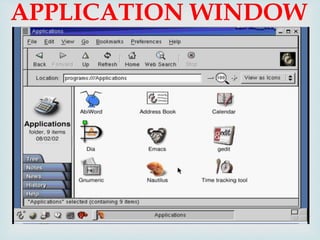 
APPLICATION WINDOW
 