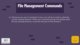 File Management Commands
 Whenever you are in a terminal in Linux, you will be in what is called the
current working directory. Often your command prompt will display either
the full working directory, or just the last part of that directory
 