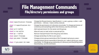 File Management Commands
File/directory permissions and groups
 