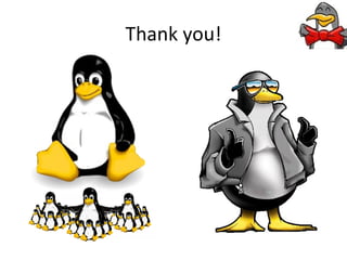 Browsing The Source Code of Linux Packages