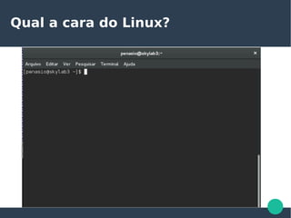 Qual a cara do Linux?
 