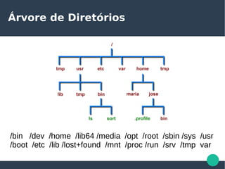 Árvore de Diretórios
/bin /dev /home /lib64 /media /opt /root /sbin /sys /usr
/boot /etc /lib /lost+found /mnt /proc /run /srv /tmp var
 