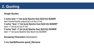 2. Quoting
Single Quotes
$ echo text ~/*.txt {a,b} $(echo foo) $((2+2)) $USER
text /home/me/ls-output.txt a b foo 4 me
$ echo "text ~/*.txt {a,b} $(echo foo) $((2+2)) $USER"
text ~/*.txt {a,b} foo 4 me
$ echo 'text ~/*.txt {a,b} $(echo foo) $((2+2)) $USER'
text ~/*.txt {a,b} $(echo foo) $((2+2)) $USER
Escaping Characters (backslash)
$ mv bad&filename good_filename
 