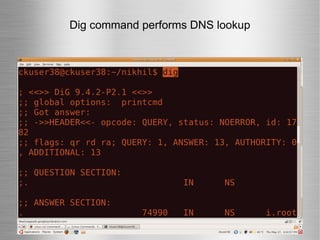 Dig command performs DNS lookup 