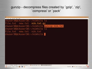 gunzip - decompress files created by `gzip', `zip', `compress' or `pack' 