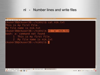 nl  -  Number lines and write files 