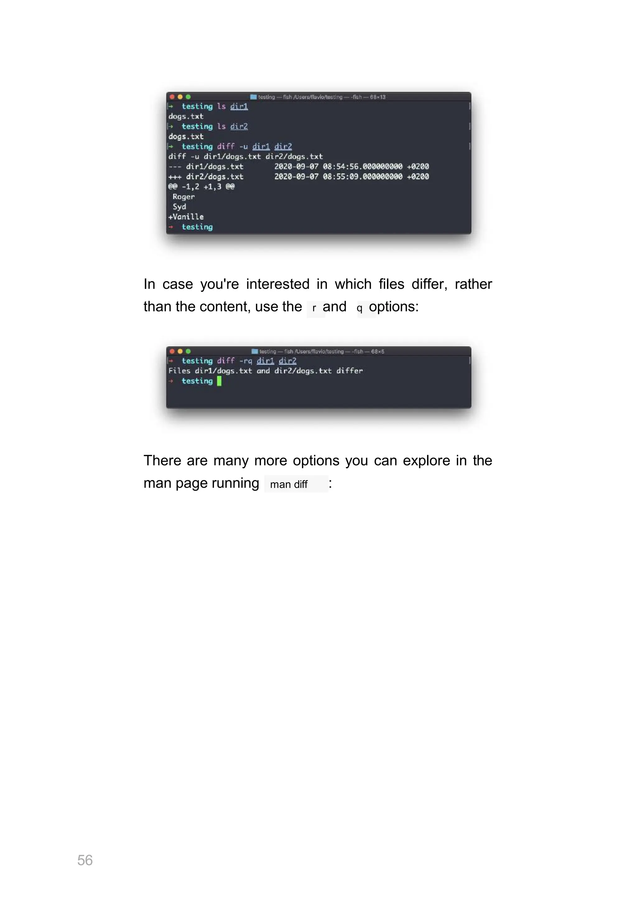 In case you're interested in which files differ, rather
than the content, use the r and q options:
There are many more options you can explore in the
56
man diff
man page running :
 