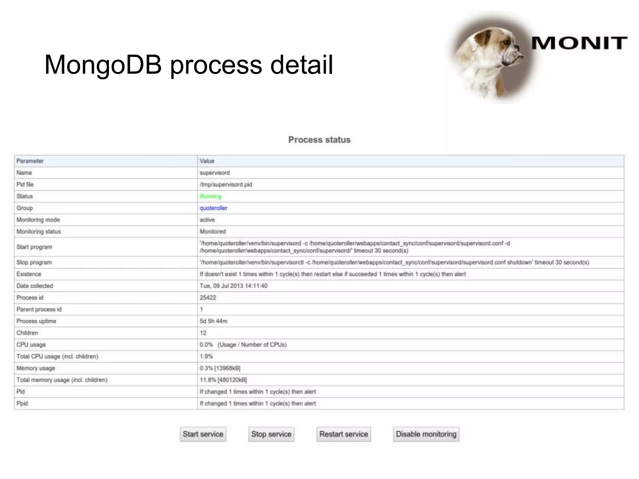 MongoDB process detail
 