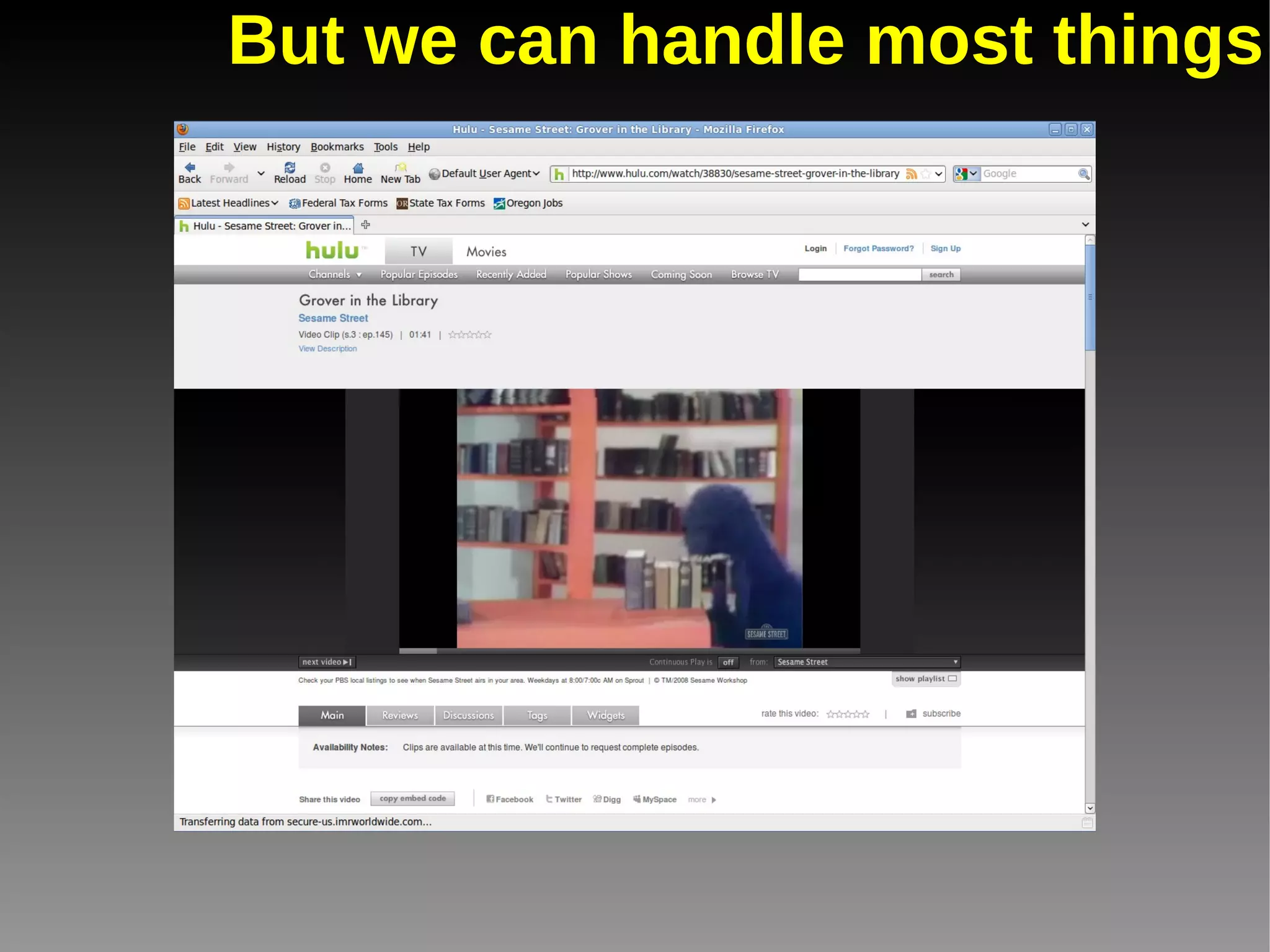 The bane of our existence Main issue: Some Flash animations/applications unplayable. Okay, admittedly this is a screenshot from Chromium, not Firefox. Adobe Flash 
