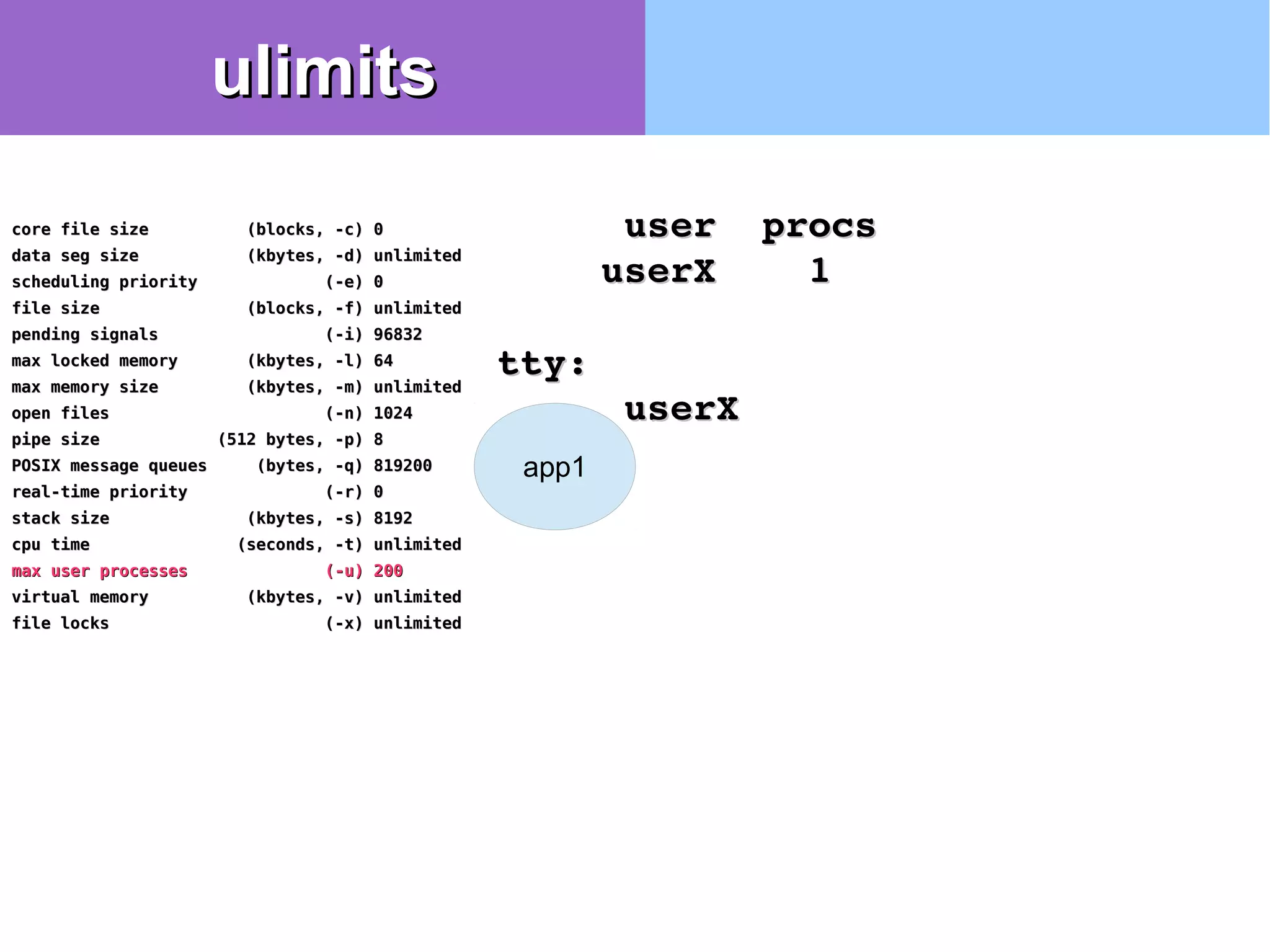 app1
userXuserX
  user  procsuser  procs
userX    1userX    1
tty:tty:
core file size (blocks, -c) 0core file size (blocks, -c) 0
data seg size (kbytes, -d) unlimiteddata seg size (kbytes, -d) unlimited
scheduling priority (-e) 0scheduling priority (-e) 0
file size (blocks, -f) unlimitedfile size (blocks, -f) unlimited
pending signals (-i) 96832pending signals (-i) 96832
max locked memory (kbytes, -l) 64max locked memory (kbytes, -l) 64
max memory size (kbytes, -m) unlimitedmax memory size (kbytes, -m) unlimited
open files (-n) 1024open files (-n) 1024
pipe size (512 bytes, -p) 8pipe size (512 bytes, -p) 8
POSIX message queues (bytes, -q) 819200POSIX message queues (bytes, -q) 819200
real-time priority (-r) 0real-time priority (-r) 0
stack size (kbytes, -s) 8192stack size (kbytes, -s) 8192
cpu time (seconds, -t) unlimitedcpu time (seconds, -t) unlimited
max user processes (-u) 200max user processes (-u) 200
virtual memory (kbytes, -v) unlimitedvirtual memory (kbytes, -v) unlimited
file locks (-x) unlimitedfile locks (-x) unlimited
ulimitsulimits
 