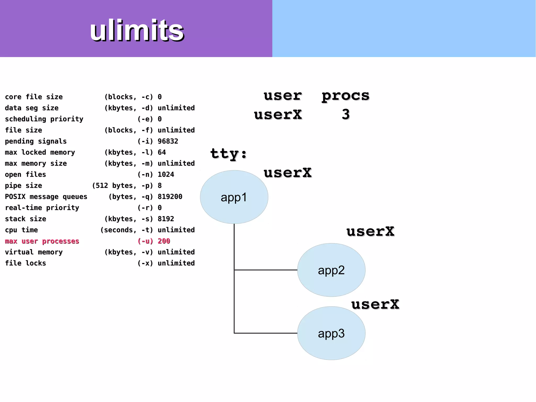 app2
app1
app3
userXuserX
userXuserX
userXuserX
  user  procsuser  procs
userX    3userX    3
tty:tty:
core file size (blocks, -c) 0core file size (blocks, -c) 0
data seg size (kbytes, -d) unlimiteddata seg size (kbytes, -d) unlimited
scheduling priority (-e) 0scheduling priority (-e) 0
file size (blocks, -f) unlimitedfile size (blocks, -f) unlimited
pending signals (-i) 96832pending signals (-i) 96832
max locked memory (kbytes, -l) 64max locked memory (kbytes, -l) 64
max memory size (kbytes, -m) unlimitedmax memory size (kbytes, -m) unlimited
open files (-n) 1024open files (-n) 1024
pipe size (512 bytes, -p) 8pipe size (512 bytes, -p) 8
POSIX message queues (bytes, -q) 819200POSIX message queues (bytes, -q) 819200
real-time priority (-r) 0real-time priority (-r) 0
stack size (kbytes, -s) 8192stack size (kbytes, -s) 8192
cpu time (seconds, -t) unlimitedcpu time (seconds, -t) unlimited
max user processes (-u) 200max user processes (-u) 200
virtual memory (kbytes, -v) unlimitedvirtual memory (kbytes, -v) unlimited
file locks (-x) unlimitedfile locks (-x) unlimited
ulimitsulimits
 