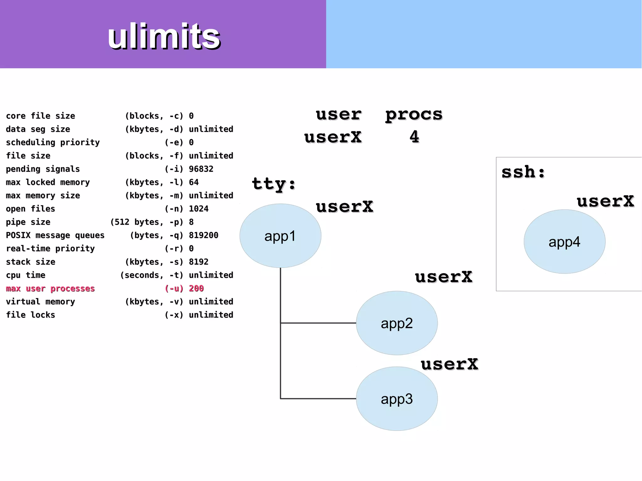 core file size (blocks, -c) 0core file size (blocks, -c) 0
data seg size (kbytes, -d) unlimiteddata seg size (kbytes, -d) unlimited
scheduling priority (-e) 0scheduling priority (-e) 0
file size (blocks, -f) unlimitedfile size (blocks, -f) unlimited
pending signals (-i) 96832pending signals (-i) 96832
max locked memory (kbytes, -l) 64max locked memory (kbytes, -l) 64
max memory size (kbytes, -m) unlimitedmax memory size (kbytes, -m) unlimited
open files (-n) 1024open files (-n) 1024
pipe size (512 bytes, -p) 8pipe size (512 bytes, -p) 8
POSIX message queues (bytes, -q) 819200POSIX message queues (bytes, -q) 819200
real-time priority (-r) 0real-time priority (-r) 0
stack size (kbytes, -s) 8192stack size (kbytes, -s) 8192
cpu time (seconds, -t) unlimitedcpu time (seconds, -t) unlimited
max user processes (-u) 200max user processes (-u) 200
virtual memory (kbytes, -v) unlimitedvirtual memory (kbytes, -v) unlimited
file locks (-x) unlimitedfile locks (-x) unlimited
app2
app1
app3
userXuserX
userXuserX
userXuserX
  user  procsuser  procs
userX    4userX    4
app4
userXuserX
ssh:ssh:
tty:tty:
ulimitsulimits
 
