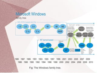 Fig: The Windows family tree.
 